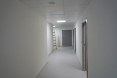 o-p1190154