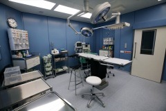 o-088perfectclinic10
